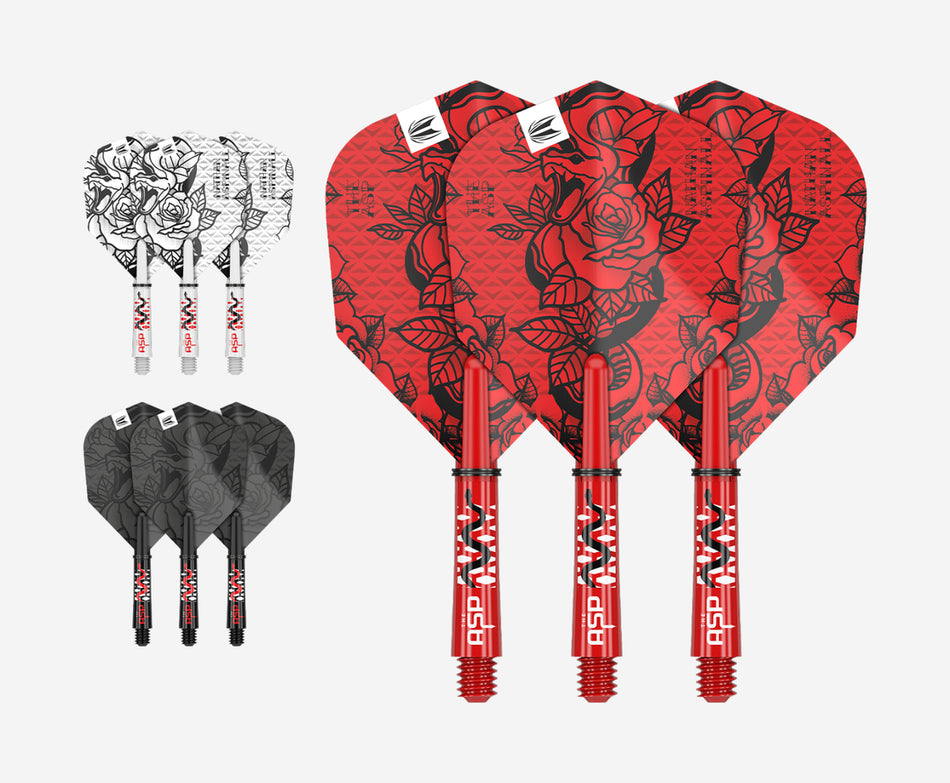 Nathan Aspinall ink flight & shaft kit