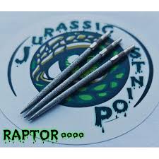 Jurassic Points - Raptor